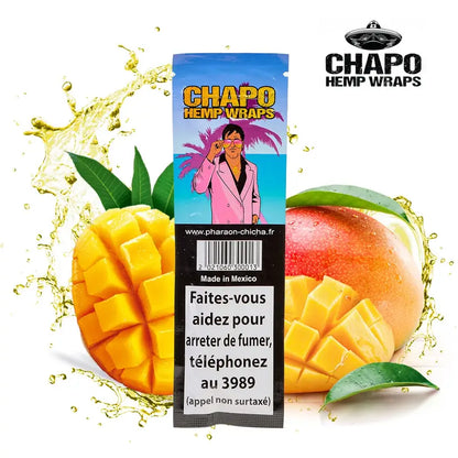 BLUNT SANS TABAC CHAPO MIAMI DISPLAY DE 25