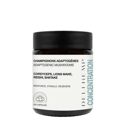 POUDRE DE CHAMPIGNON 30g CONCENTRATION