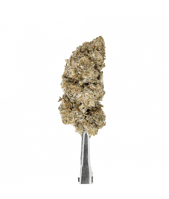FLEURS CBD - CRYSTAL AMNESIA - INDOOR