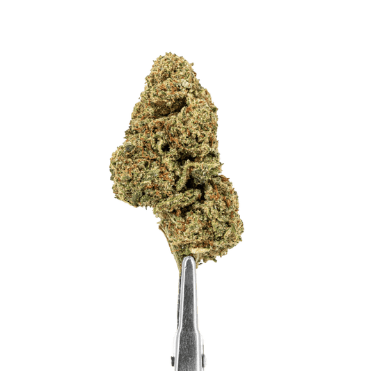 FLEURS CBD - MAFORBIDDEN FRUITS - HYDRO