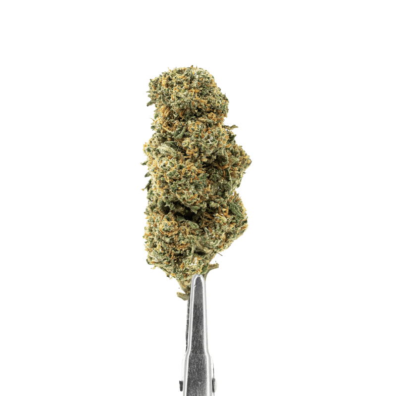 FLEURS CBD - CALY GRAPY - INDOOR MID BUD, 1 ACHETE = 1 OFFERT