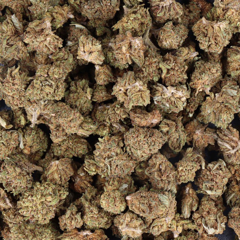 FLEURS CBD - FANTA SMALL BUD - INDOOR