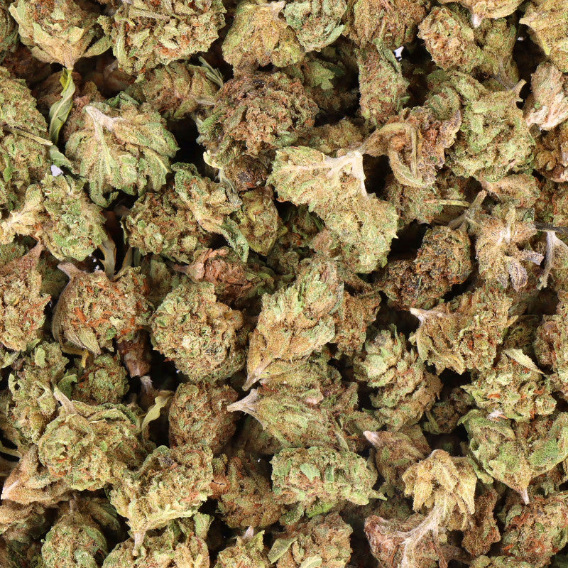 FLEURS CBD - MELATO - SMALL BUD