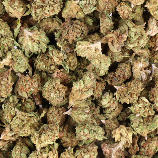 FLEURS CBD - MELATO - SMALL BUD