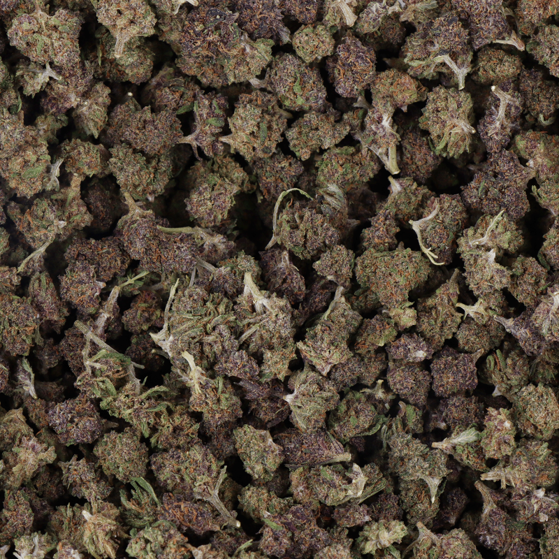 FLEURS CBD - MURPLE SMALL BUD - HYDRO