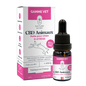 Huile CBD Animaux D-stress 10% - chien