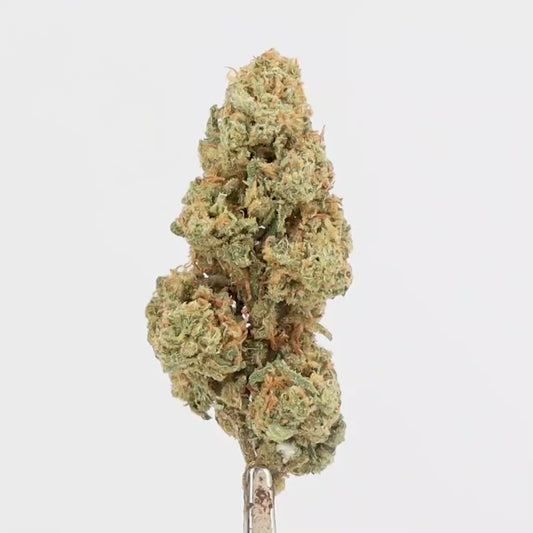 FLEUR CBD - MANGIE - OUTDOOR,  1 ACHETE = 1 OFFERT