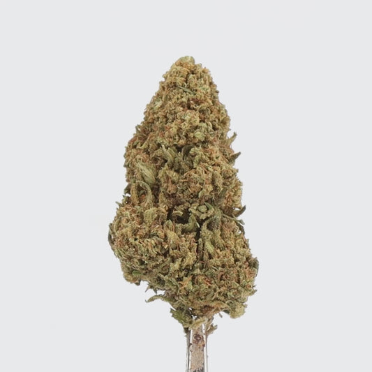 FLEURS CBD - ORANGE BUD - GREENHOUSE