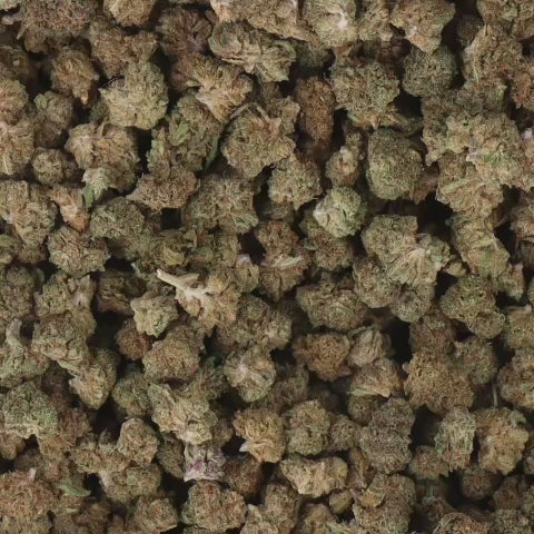 FLEUR CBD - MATICAL KUSH SMALL BUD INDOOR