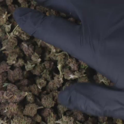 FLEURS CBD - MURPLE SMALL BUD - HYDRO