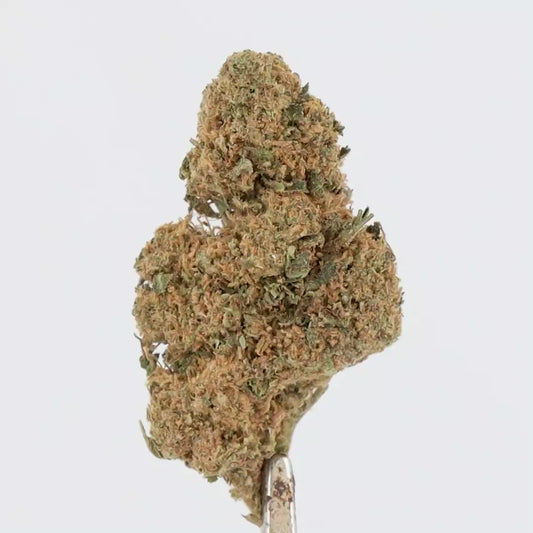 FLEURS CBD MAKA47 Outdoor,  1 ACHETE = 1 OFFERT
