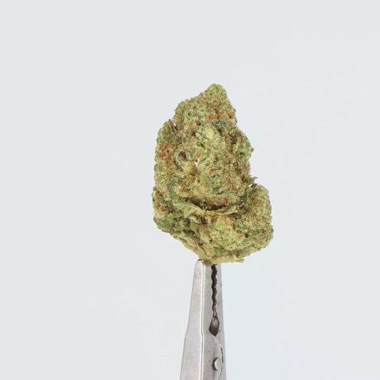 FLEURS CBD - ZUSHY - HYDROPONIE,  1 ACHETE = 1 OFFERT
