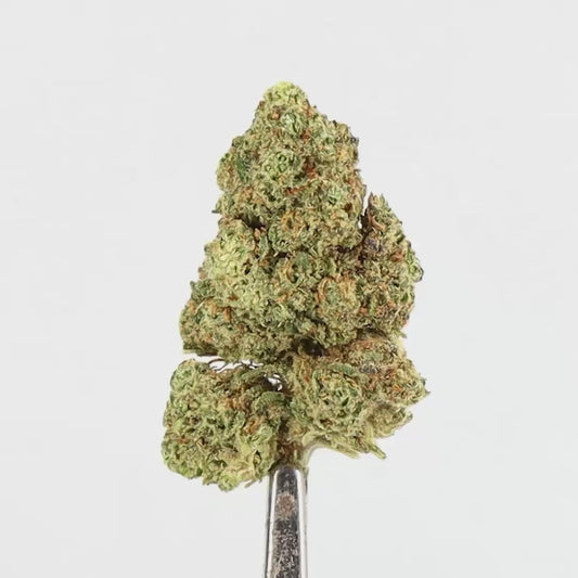 FLEURS CBD - MANY NIGHT KUSH MID BUD - INDOOR 1 ACHETE = 1 OFFERT