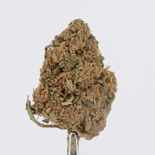 FLEURS CBD - SKUNKY - OUTDOOR,  1 ACHETE = 1 OFFERT