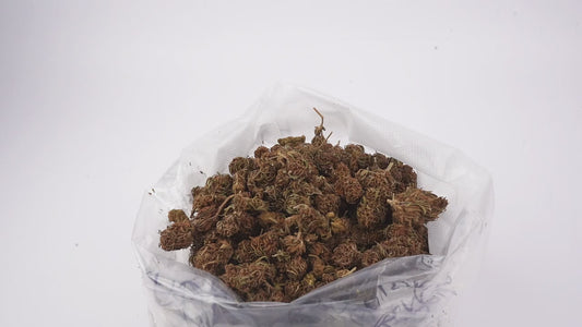FLEURS CBD - SUPER SILVER - OUTDOOR,  1 ACHETE = 1 OFFERT