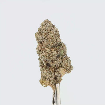 FLEURS CBD - CRYSTAL AMNESIA - INDOOR