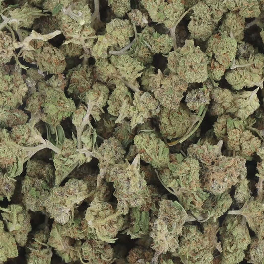 FLEURS CBD - MABLUEBERRY - HYDRO SMALL BUD