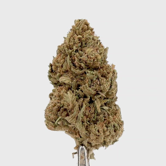 FLEURS CBD - MIMOSA - GREENHOUSE