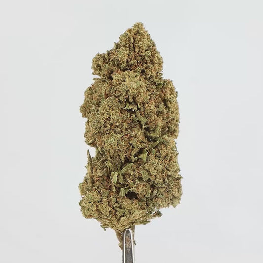 FLEURS CBD - CALY DREAMY - HYDRO
