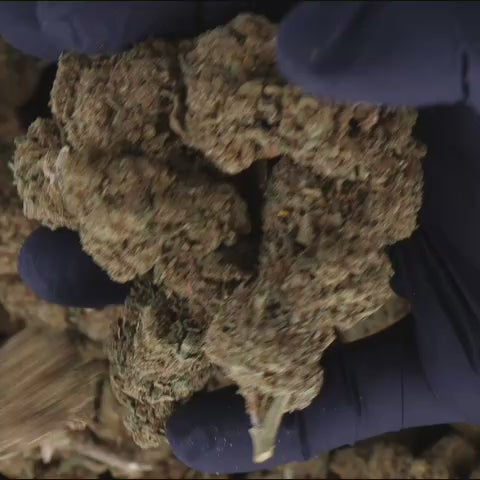FLEURS CBD - GRAPEFRUIT - GREENHOUSE