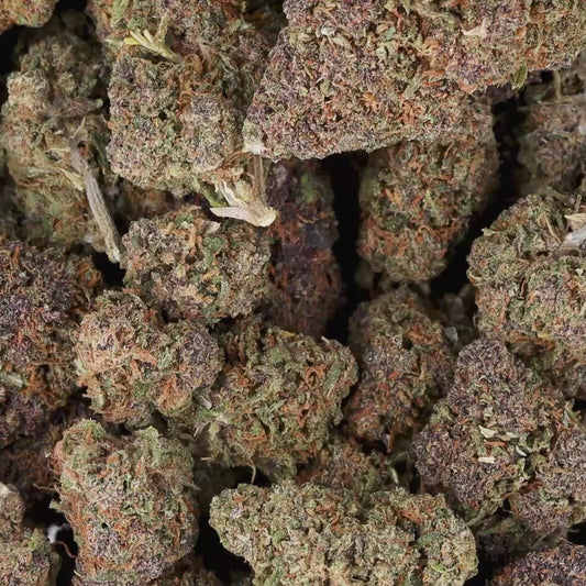 FLEURS CBD - LEGENDARYA - HYDRO,  1 ACHETE = 1 OFFERT