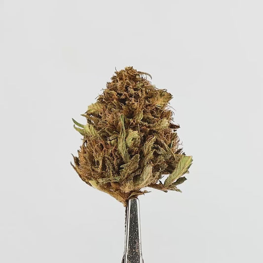 FLEURS CBD Murple Outdoor Premium,  1 ACHETE = 1 OFFERT