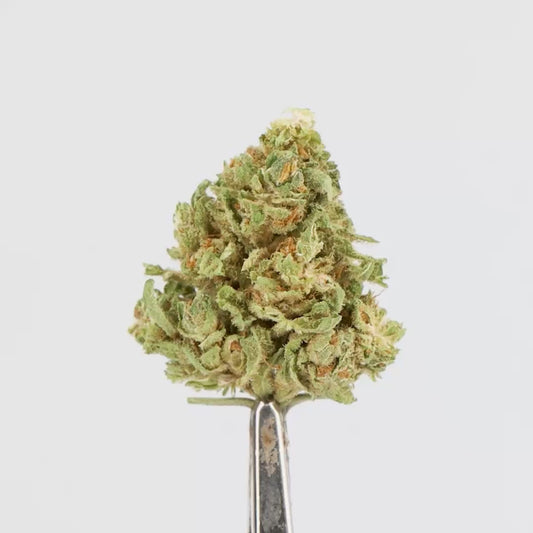 FLEUR CBD - BUBBY KUSHY - OUTDOOR,  1 ACHETE = 1 OFFERT