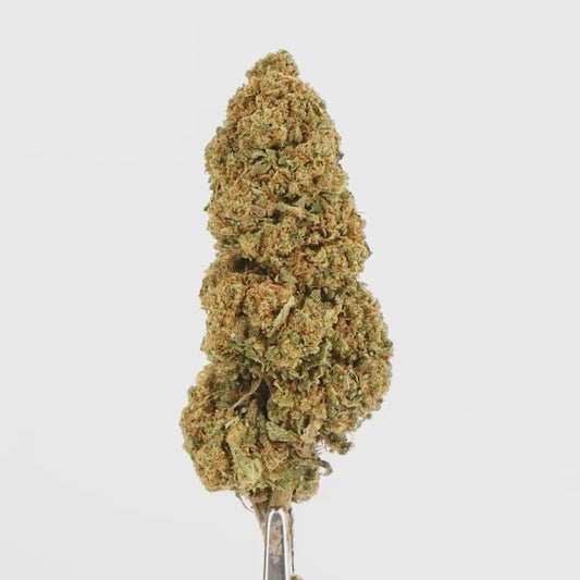 FLEURS CBD - MANANA SMASHY - INDOOR, 1 ACHETE = 1 OFFERT