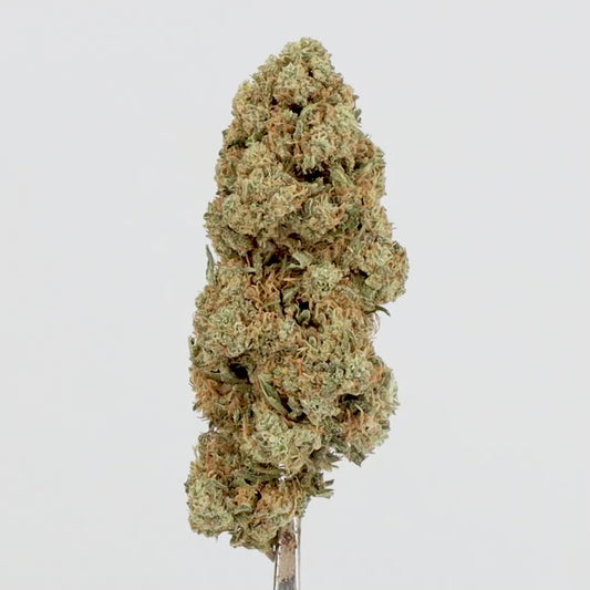 FLEURS CBD - WHITY MIDOW - GREENHOUSE