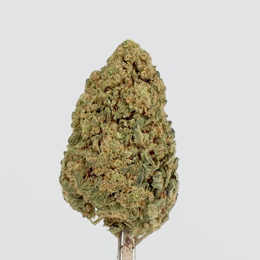 FLEURS CBD - SKYWALKERY - INDOOR , 1 ACHETE = 1 OFFERT