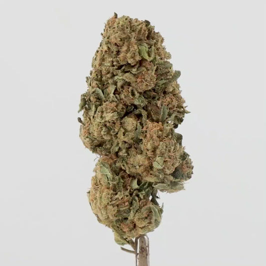 FLEURS CBD - MATERMELON - GREENHOUSE
